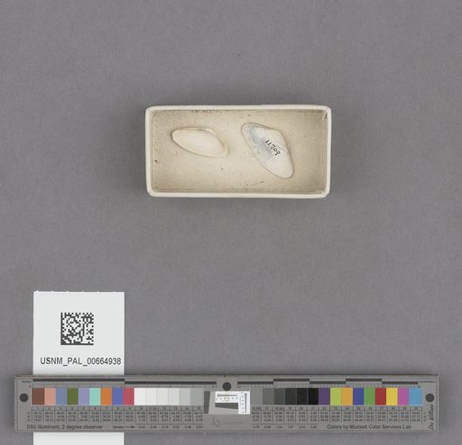 NSF ADBC EPICC TCN