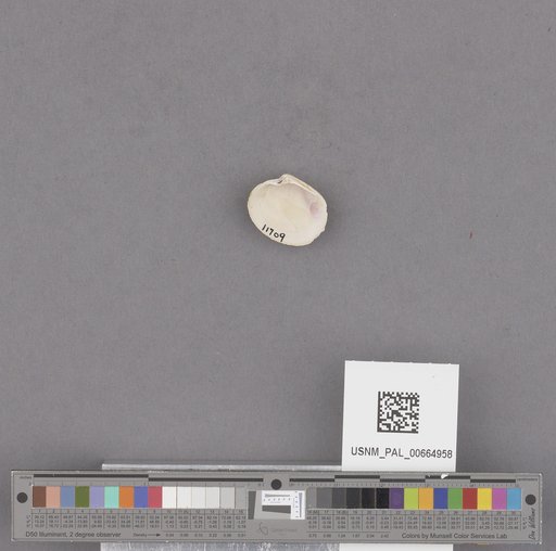 NSF ADBC EPICC TCN