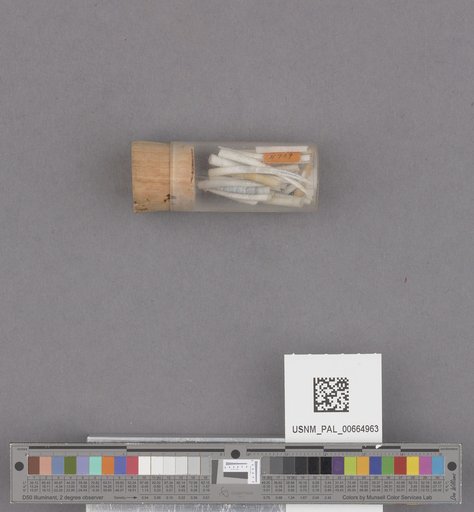 NSF ADBC EPICC TCN