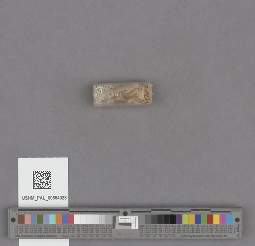 NSF ADBC EPICC TCN