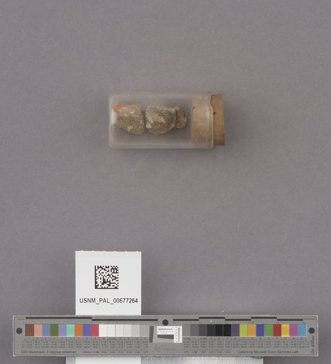 NSF ADBC EPICC TCN