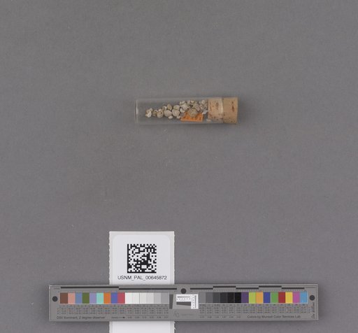 NSF ADBC EPICC TCN