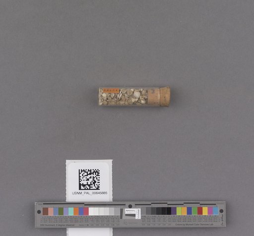 NSF ADBC EPICC TCN