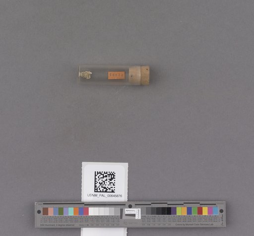 NSF ADBC EPICC TCN