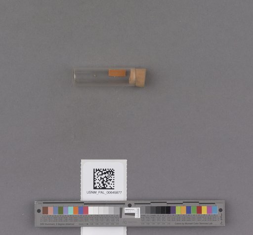 NSF ADBC EPICC TCN