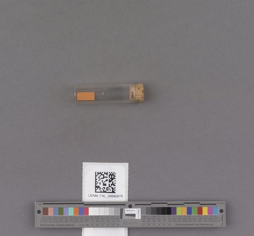 NSF ADBC EPICC TCN