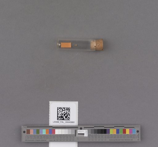 NSF ADBC EPICC TCN