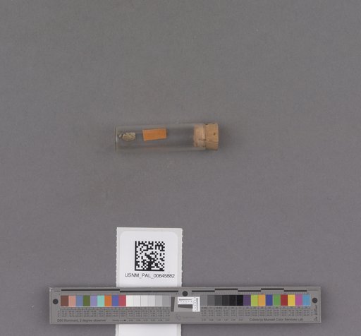 NSF ADBC EPICC TCN