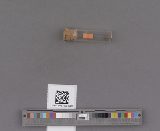 NSF ADBC EPICC TCN