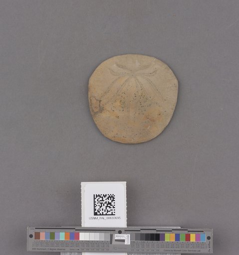 NSF ADBC EPICC TCN
