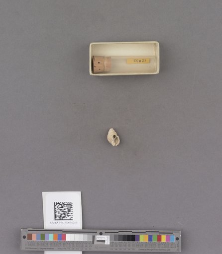 NSF ADBC EPICC TCN