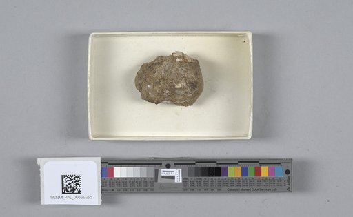 NSF ADBC EPICC TCN