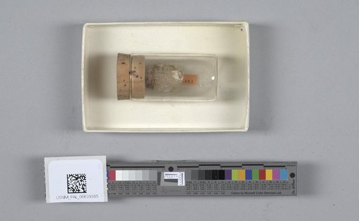 NSF ADBC EPICC TCN