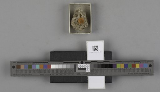 NSF ADBC EPICC TCN