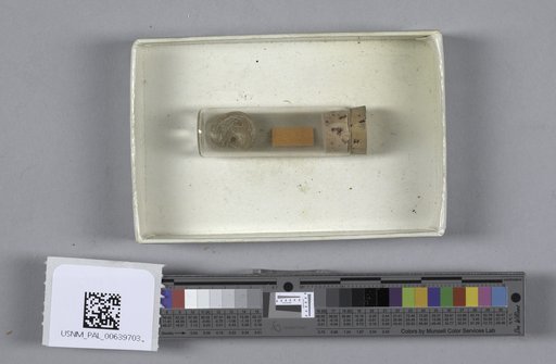 NSF ADBC EPICC TCN