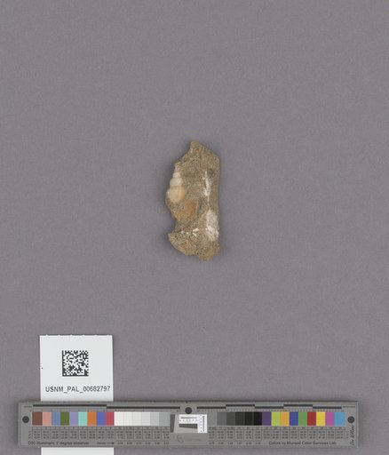NSF ADBC EPICC TCN