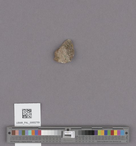 NSF ADBC EPICC TCN