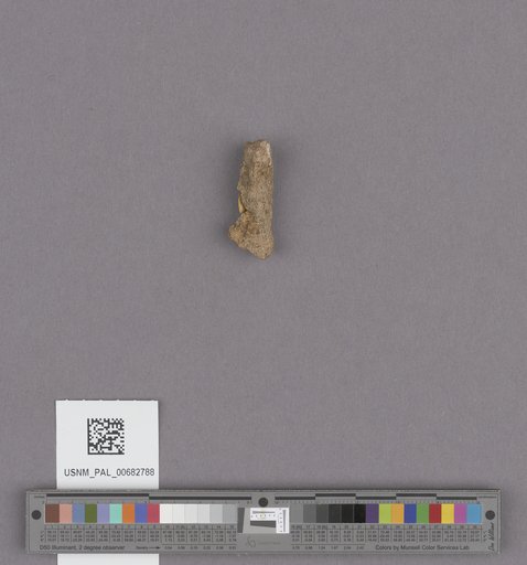 NSF ADBC EPICC TCN