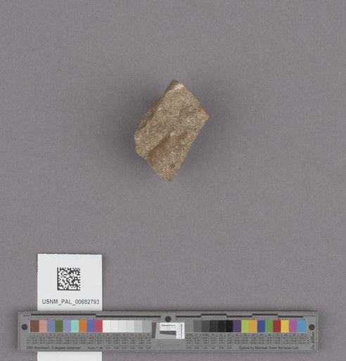 NSF ADBC EPICC TCN