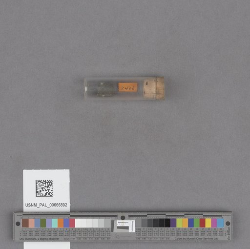 NSF ADBC EPICC TCN
