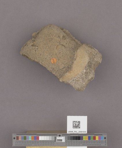 NSF ADBC EPICC TCN