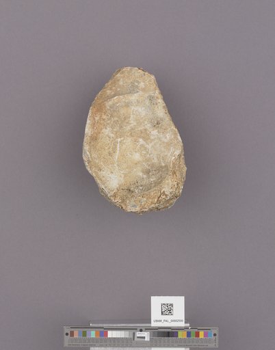 NSF ADBC EPICC TCN