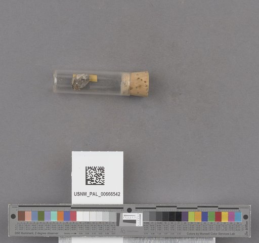 NSF ADBC EPICC TCN