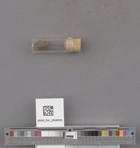 NSF ADBC EPICC TCN