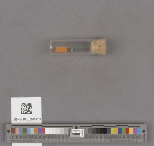 NSF ADBC EPICC TCN