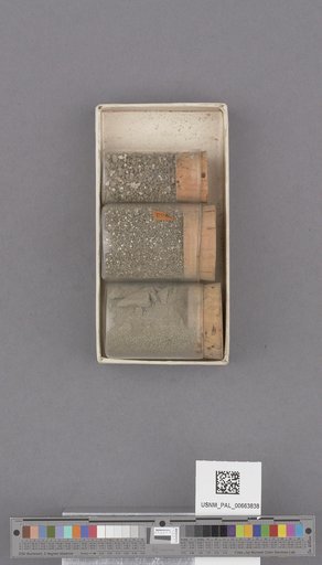 NSF ADBC EPICC TCN