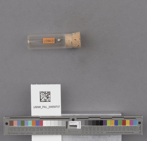 NSF ADBC EPICC TCN