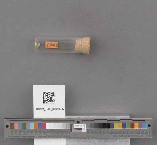 NSF ADBC EPICC TCN