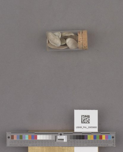 NSF ADBC EPICC TCN