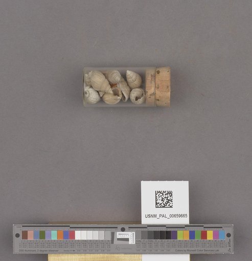 NSF ADBC EPICC TCN