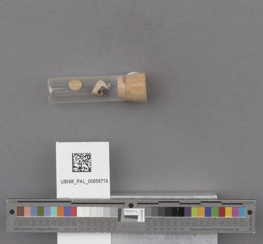 NSF ADBC EPICC TCN