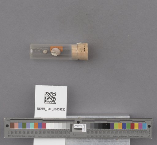 NSF ADBC EPICC TCN