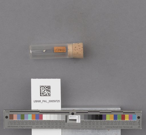 NSF ADBC EPICC TCN
