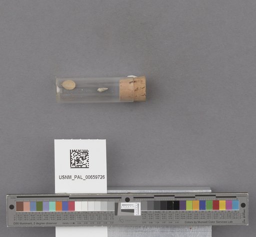 NSF ADBC EPICC TCN