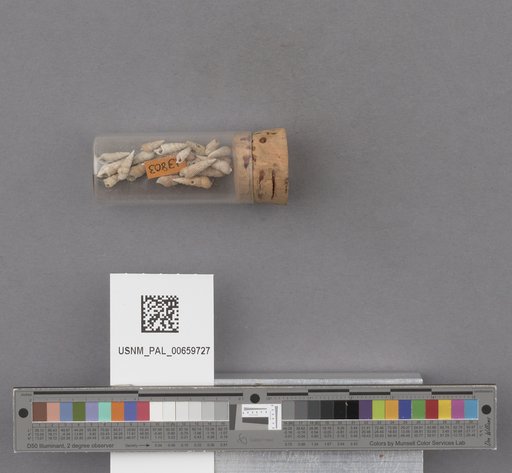 NSF ADBC EPICC TCN