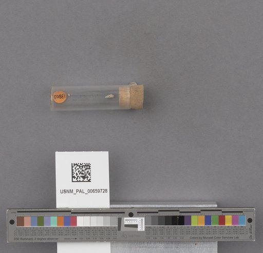 NSF ADBC EPICC TCN