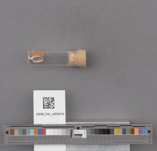NSF ADBC EPICC TCN