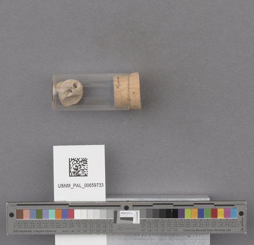 NSF ADBC EPICC TCN