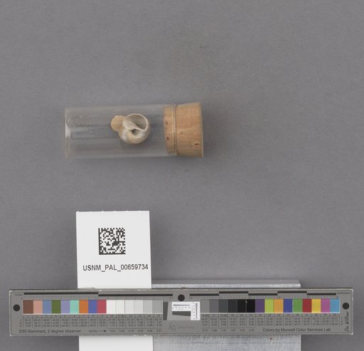 NSF ADBC EPICC TCN