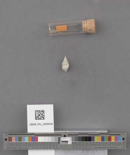 NSF ADBC EPICC TCN