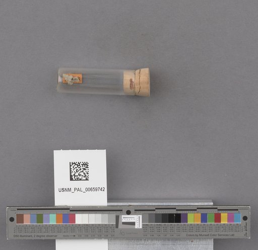 NSF ADBC EPICC TCN