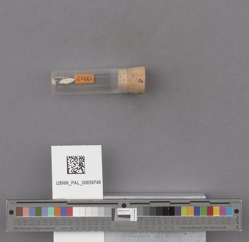 NSF ADBC EPICC TCN