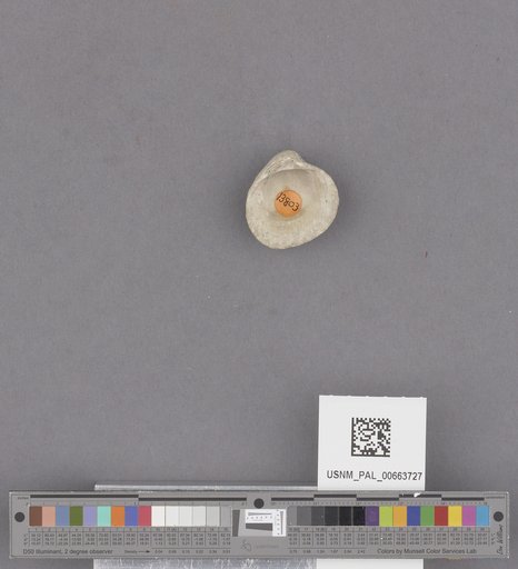 NSF ADBC EPICC TCN