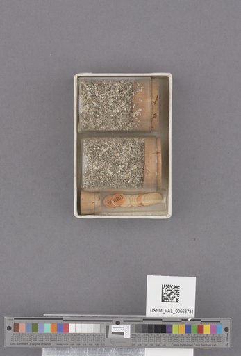 NSF ADBC EPICC TCN
