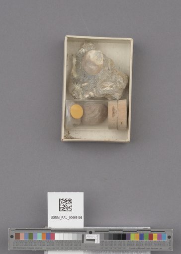 NSF ADBC EPICC TCN
