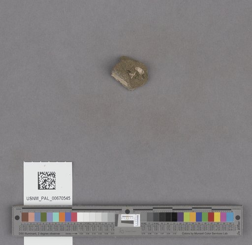 NSF ADBC EPICC TCN